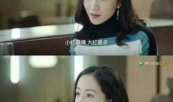 娱乐圈吃瓜博主双人小说,吃瓜博主的双人甜蜜冒险